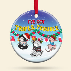 Personalized Cat Ornament, Cat Christmas Ornament, Cat Lover Christmas Gift - Ornament - GoDuckee