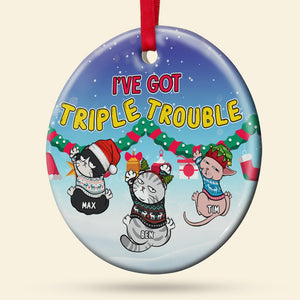 Personalized Cat Ornament, Cat Christmas Ornament, Cat Lover Christmas Gift - Ornament - GoDuckee