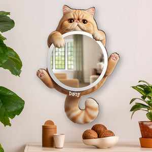 Cute Cat Mirror - Personalized Gifts For Cat Lovers 01ohqn260725-Homacus