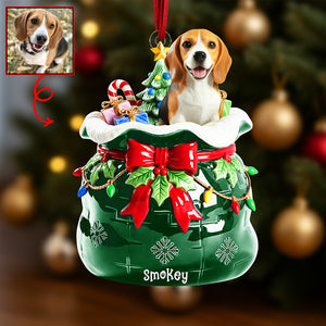 Festive Pet Keepsake Christmas Ornament - Custom Photo Gifts For Pet Lovers 05paqn080925 - Ornament - GoDuckee