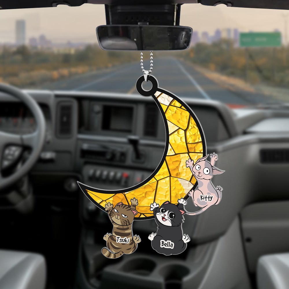 Personalized Gifts For Cat Lover Car Ornament 03QHQN110524 - Ornaments - GoDuckee