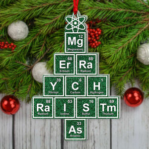 Christmas Gifts, Personalized Ornament, Gifts For Family - Ornament - GoDuckee