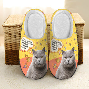 Naughty Cat Dog, Personalized Home Slippers, Gifts For Dog Cat Lovers - Shoes - GoDuckee