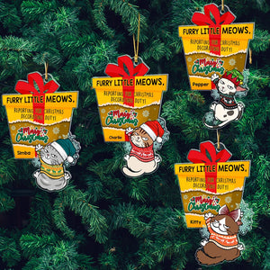 Merry Christmas-Personalized Acrylic Custom Shape Ornament-Gift For Cat Lover- Christmas Gift - Ornament - GoDuckee