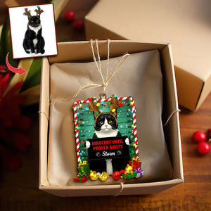 Cute Naughty Cat Acrylic Ornament - Personalized Custom Photo Gifts For Cat Lovers 08HULU121125 - Ornament - GoDuckee