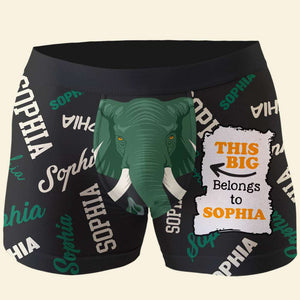 Personalized Gifts For Husband Boxer Belongs To You - Boxer Briefs - GoDuckee