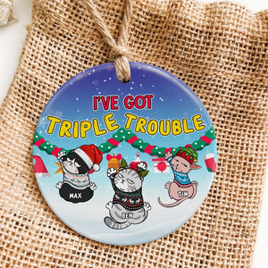 Personalized Cat Ornament, Cat Christmas Ornament, Cat Lover Christmas Gift - Ornament - GoDuckee