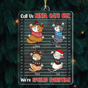 Call Us Ninja Cats, Gift For Cat Lover, Personalized Acrylic Ornament, Spoiled Cat Ornament, Christmas Gift - Ornament - GoDuckee