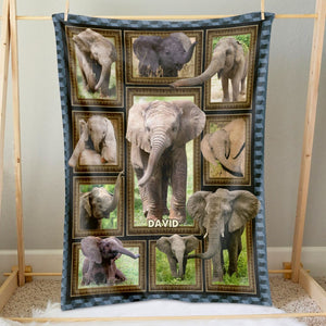 Personalized Gifts For Elephant Lover Blanket 041qhti311224 - Blanket - GoDuckee