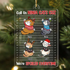 Call Us Ninja Cats, Gift For Cat Lover, Personalized Acrylic Ornament, Spoiled Cat Ornament, Christmas Gift - Ornament - GoDuckee