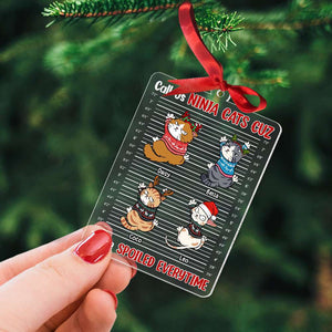 Call Us Ninja Cats, Gift For Cat Lover, Personalized Acrylic Ornament, Spoiled Cat Ornament, Christmas Gift - Ornament - GoDuckee
