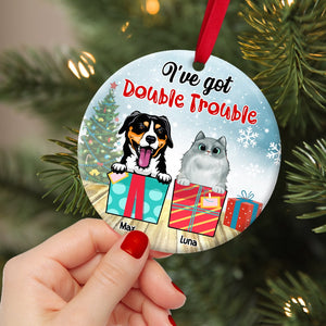 I've Got Double Trouble Personalized Dog Cat Ornament, Christmas Tree Decor - Ornament - GoDuckee