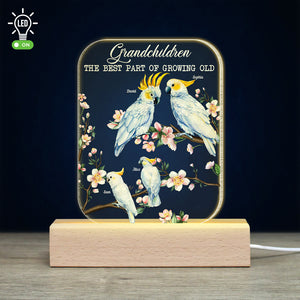 Cockatoo Bird Grandparents, Gift For Grandma Bird, Personalized Led Light Wooden Base - Led Night Light - GoDuckee