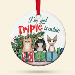 Dog/Cat I've Got Double Trouble, Personalized Ceramic Circle Ornament - Ornament - GoDuckee