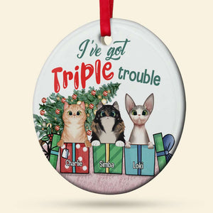 Dog/Cat I've Got Double Trouble, Personalized Ceramic Circle Ornament - Ornament - GoDuckee