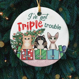 Dog/Cat I've Got Double Trouble, Personalized Ceramic Circle Ornament - Ornament - GoDuckee