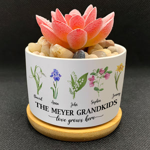 Love Grows Here Personalized Plant Pot, Gift For Grandma, Flower Garden Pot - Plant Pot - GoDuckee