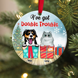 I've Got Double Trouble Personalized Dog Cat Ornament, Christmas Tree Decor - Ornament - GoDuckee