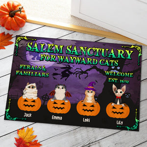 Personalized Horror Cat Breeds Doormat - Salem Sanctuary For Wayward Cats, Ferals & Familiars - Doormat - GoDuckee
