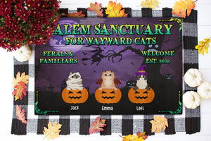 Personalized Horror Cat Breeds Doormat - Salem Sanctuary For Wayward Cats, Ferals & Familiars - Doormat - GoDuckee