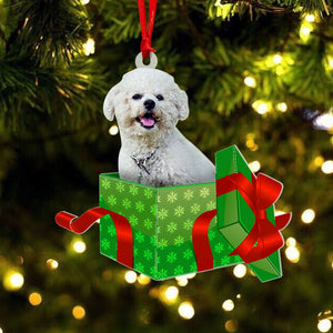 Dog In Gift Box, Custom Photo Acrylic Ornament, Christmas Gift For Dog Lover - Ornament - GoDuckee