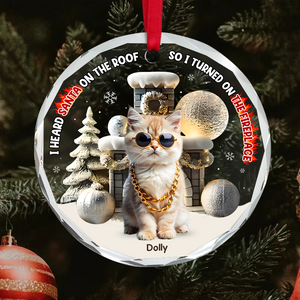 Custom Photo Gifts For Pet Lovers Christmas Ornament, Turned On The Fireplace 01tgpu281024 - Ornament - GoDuckee