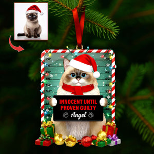 Cute Naughty Cat Acrylic Ornament - Personalized Custom Photo Gifts For Cat Lovers 08HULU121125 - Ornament - GoDuckee