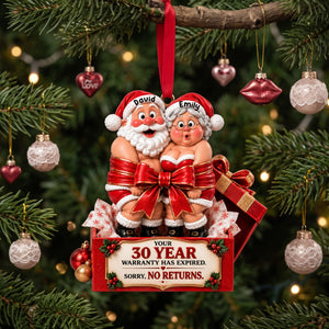 Partners In Sleigh Christmas Ornament - Personalized Gifts For Couple 02NALU210926