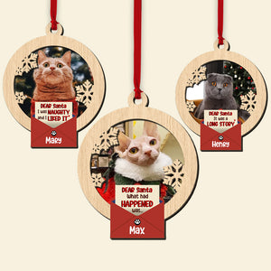 Personalized Ornaments, TT, Perfect Christmas Gifts And Tree Decor For Cat Lovers - Ornament - GoDuckee