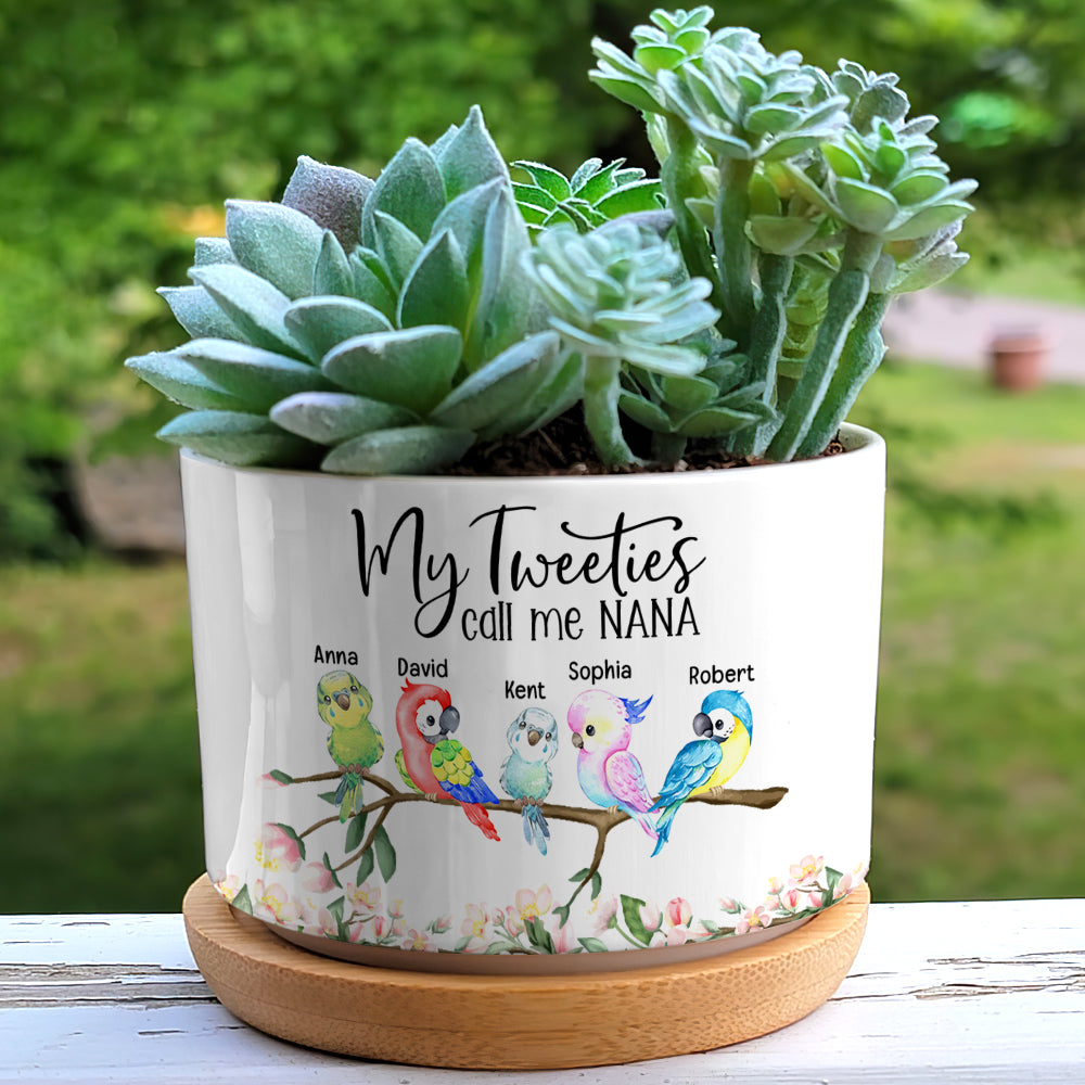 personalized succulent pots My Tweeties Call Me Nana- Personalized Plant Pot-Gift For Grandma- Grandma Plant Pot