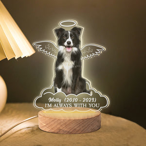 Personalized Gifts For Dog Lovers Memorial Led Light Angel Dog In Heaven - Led Night Light - GoDuckee