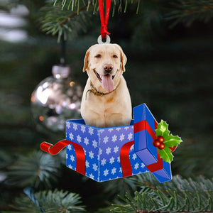 Dog In Gift Box, Custom Photo Acrylic Ornament, Christmas Gift For Dog Lover - Ornament - GoDuckee