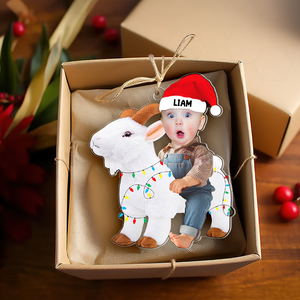 Custom Photo Gifts For Babies Christmas Ornament 02kapu301024 - Ornament - GoDuckee