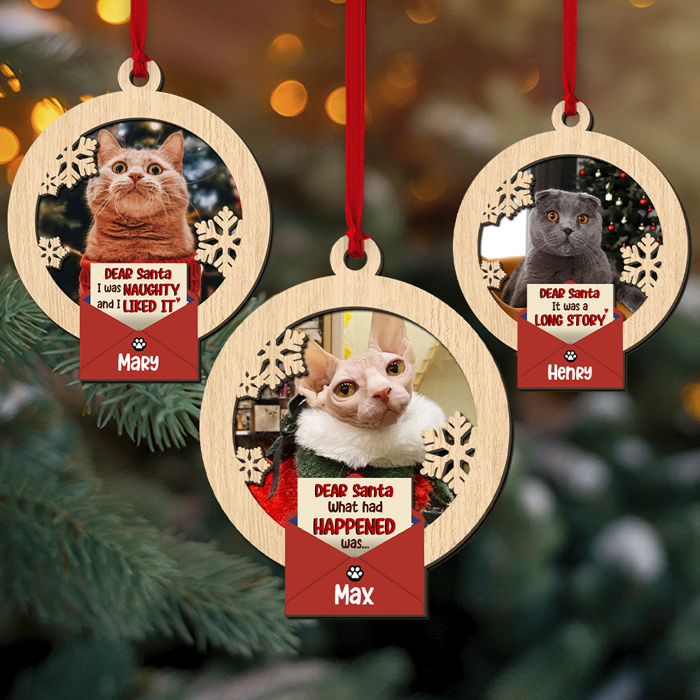 Personalized Ornaments, Perfect Christmas Gifts And Tree Decor For Cat Lovers - Ornament - GoDuckee