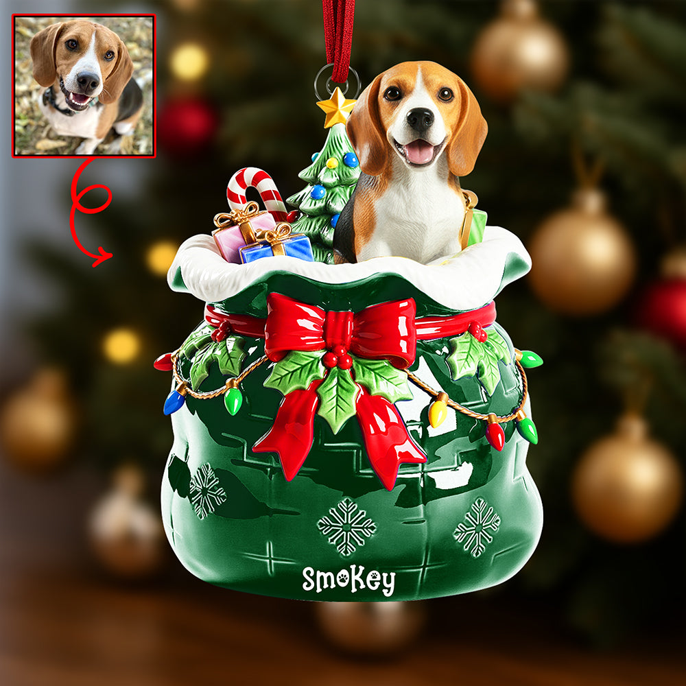 Festive Pet Keepsake Christmas Ornament - Custom Photo Gifts For Pet Lovers 05paqn080925 - Ornament - GoDuckee