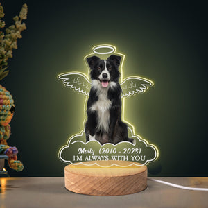 Personalized Gifts For Dog Lovers Memorial Led Light Angel Dog In Heaven - Led Night Light - GoDuckee