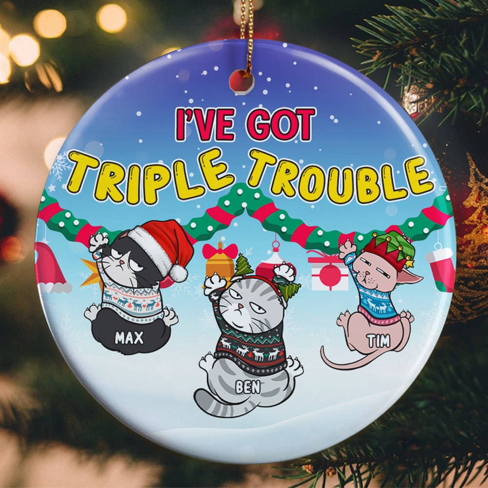 Personalized Cat Ornament, Cat Christmas Ornament, Cat Lover Christmas Gift - Ornament - GoDuckee