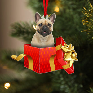 Dog In Gift Box, Custom Photo Acrylic Ornament, Christmas Gift For Dog Lover - Ornament - GoDuckee
