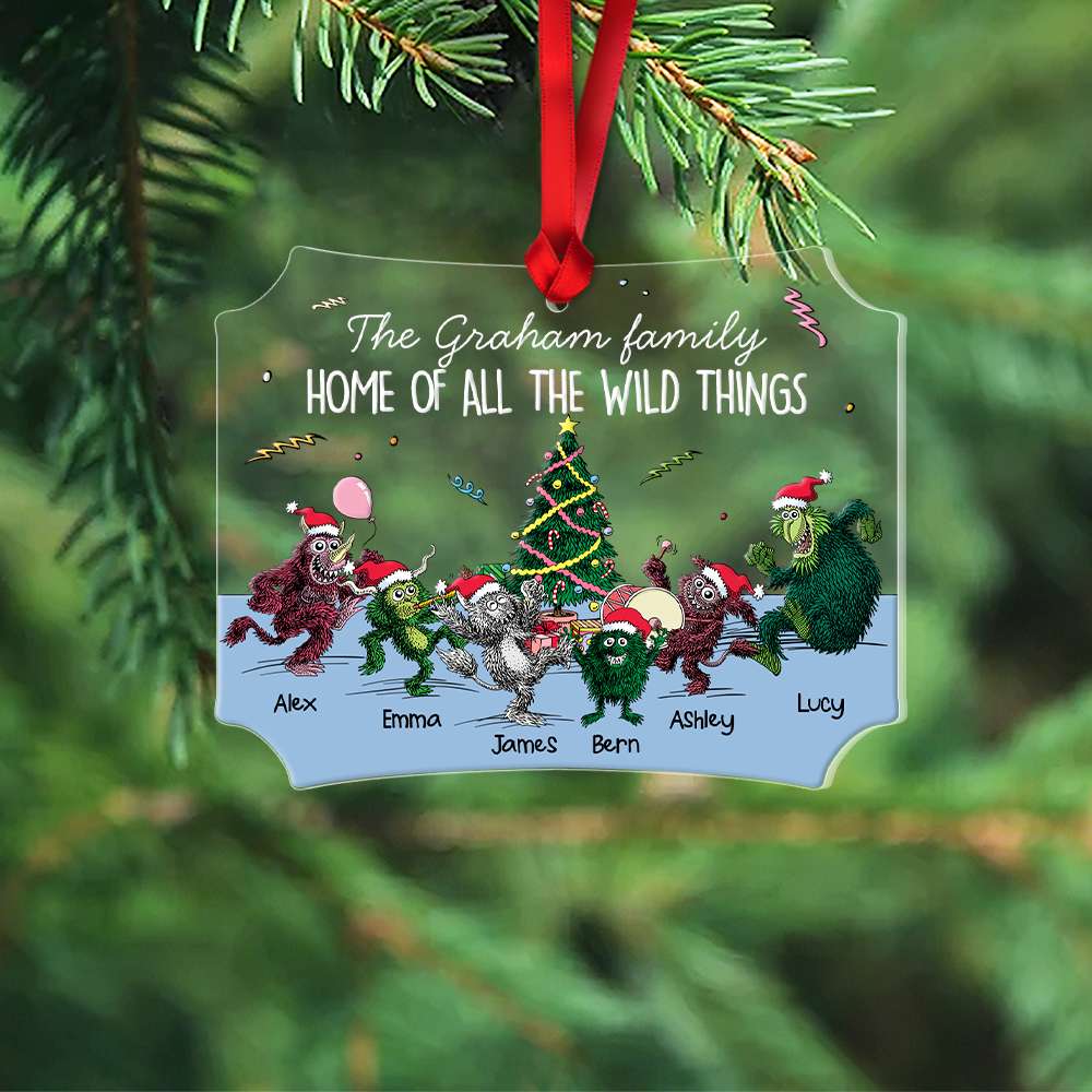 Wild & Crazy Family Personalized Ornament, Family Christmas Gift 01QHHN011123 - Ornament - GoDuckee