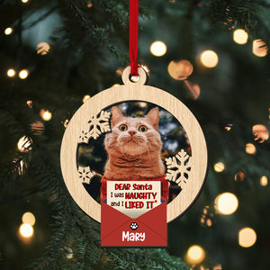 Personalized Ornaments, Perfect Christmas Gifts And Tree Decor For Cat Lovers - Ornament - GoDuckee