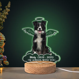 Personalized Gifts For Dog Lovers Memorial Led Light Angel Dog In Heaven - Led Night Light - GoDuckee