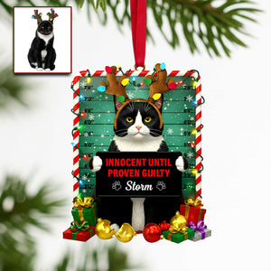 Cute Naughty Cat Acrylic Ornament - Personalized Custom Photo Gifts For Cat Lovers 08HULU121125 - Ornament - GoDuckee