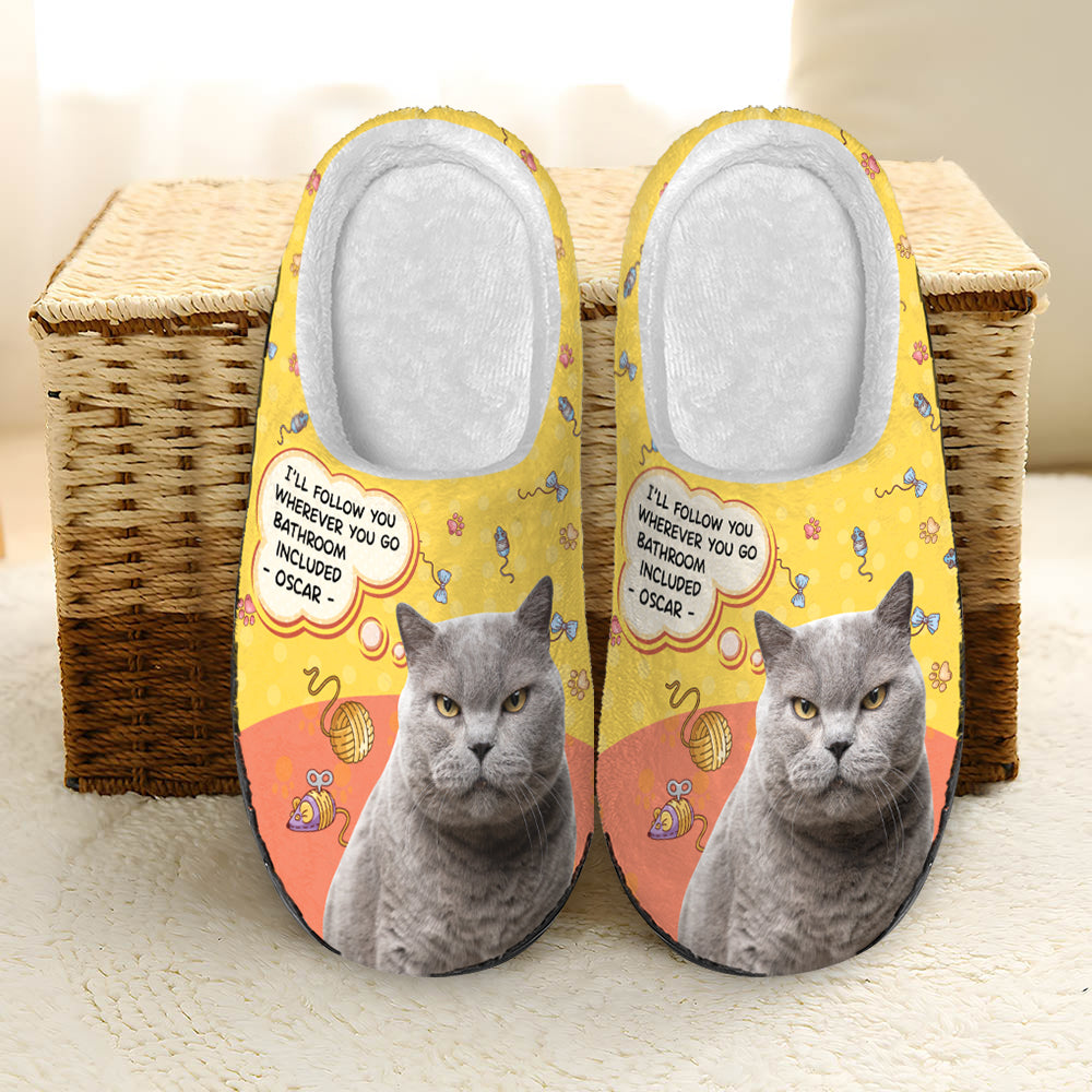 Cat and dog discount slippers