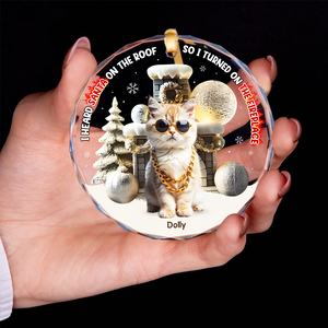 Custom Photo Gifts For Pet Lovers Christmas Ornament, Turned On The Fireplace 01tgpu281024 - Ornament - GoDuckee