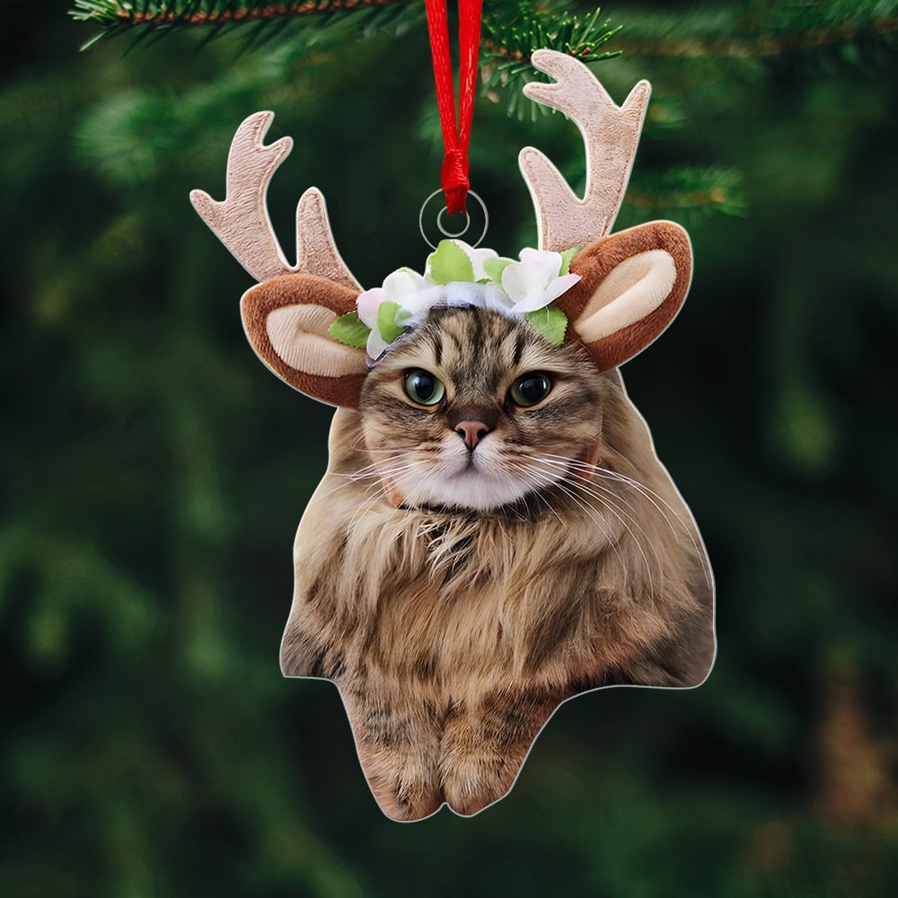 Funny Cat-Custom Photo Acrylic Ornament-Gift For Cat Lover- Christmas Gift - Ornament - GoDuckee