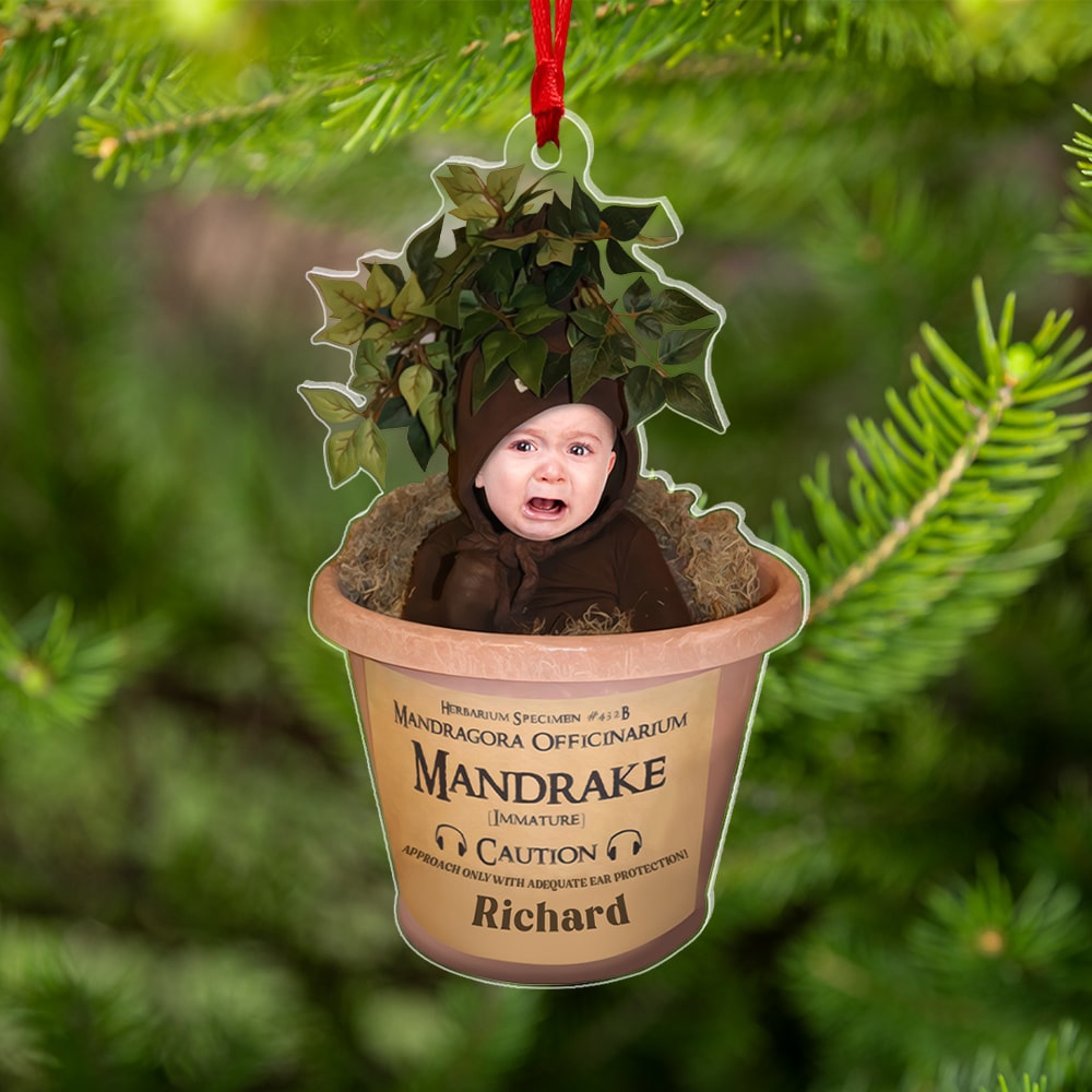 Custom Baby Photo - Acrylic Ornament - Custom Shape Transparent Ornament - 05qhqn151123 - Ornament - GoDuckee