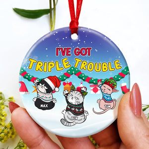 Personalized Cat Ornament, Cat Christmas Ornament, Cat Lover Christmas Gift - Ornament - GoDuckee
