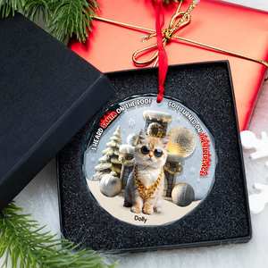 Custom Photo Gifts For Pet Lovers Christmas Ornament, Turned On The Fireplace 01tgpu281024 - Ornament - GoDuckee