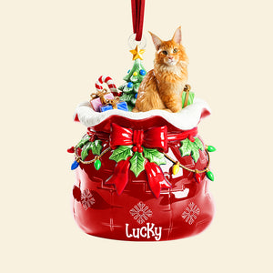 Festive Pet Keepsake Christmas Ornament - Custom Photo Gifts For Pet Lovers 05paqn080925 - Ornament - GoDuckee