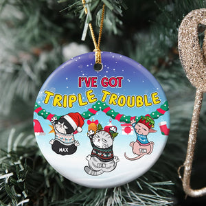 Personalized Cat Ornament, Cat Christmas Ornament, Cat Lover Christmas Gift - Ornament - GoDuckee